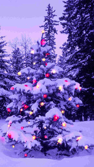 Purple Pine Tree Christmas Iphone Wallpaper