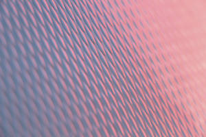 Purple-pink Oval Pattern Wallpaper