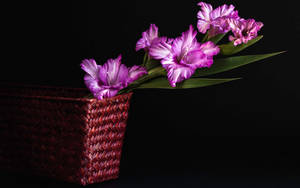 Purple Real Floral Basket Wallpaper