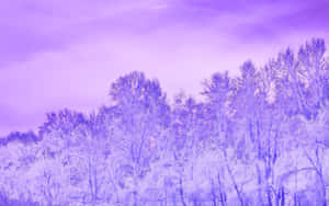 Purple Winter Forest Landscape.jpg Wallpaper