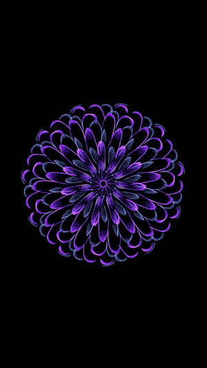 Purple Zinnia Flower Apple Wallpaper