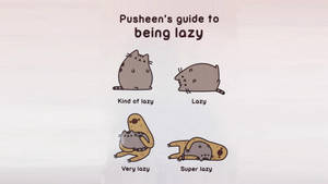 Pusheen Cat Lazy Guide Meme Wallpaper