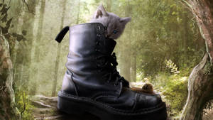 Puss In Boots Real Wallpaper