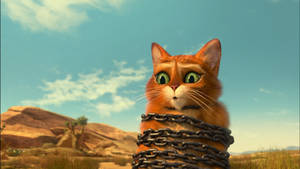Puss In Boots Tied Up Wallpaper