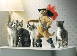 Puss In Boots With Cats Wallpaper