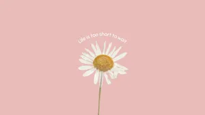 Put Yourself First And Invest In Your Goals With This Cute Motivational Desktop. Wallpaper