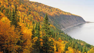 Quebec City Mountain Wallpaper