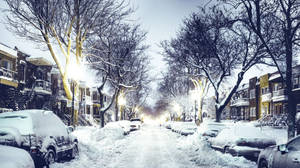 Quebec City Snow Suburb Wallpaper