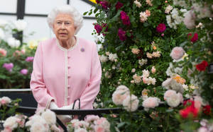 Queen Elizabeth In A Garden Wallpaper