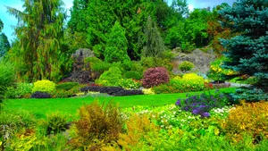 Queen Elizabeth Park Garden Shrubs Wallpaper