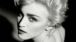 Queen Of Pop Madonna Wallpaper