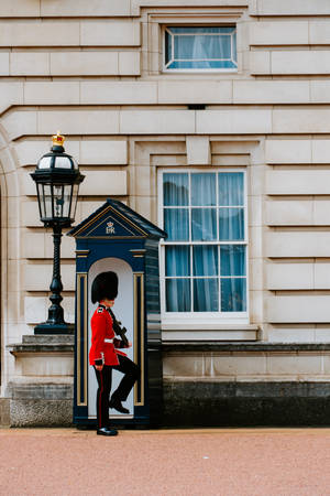 Queen's Guard In London England Wallpaper