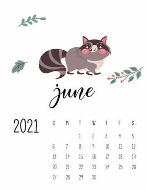 Racoon June Calendar 2021 Wallpaper