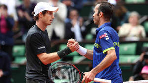 Radek Stepanek And Andy Murray Wallpaper