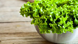 Radiant Silver Bowl Lettuce Wallpaper