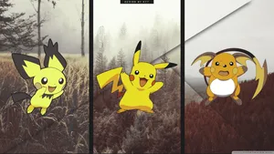 Raichu Evolution In Forest Wallpaper