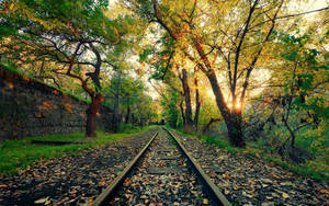 Railroad In Yerevan Wallpaper