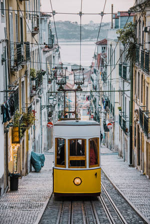 Railway Lisbon Wallpaper