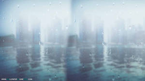 Rain Is Bliss Wallpaper