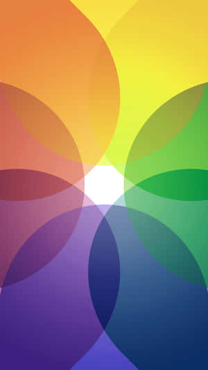 Rainbow Circles Iphone Wallpaper