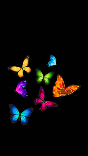 Rainbow-colored Butterflies Wallpaper
