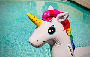 Rainbow Colored Unicorn Float Wallpaper