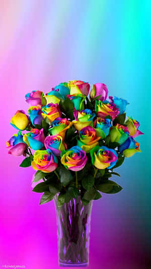 Rainbow Flower Iphone Vase Of Roses Wallpaper