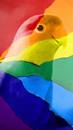 Rainbow Parrot Wallpaper