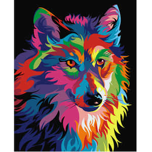 Rainbow Wolf Digital Art Wallpaper