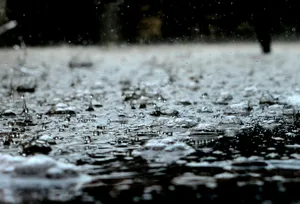 Raindrops_ Pattering_on_ Wet_ Surface_ H D Wallpaper