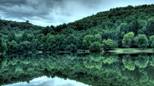 Rainforest And Greenery In Congo Wallpaper