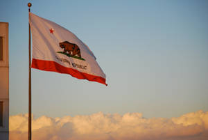 Raised Californian Flag Wallpaper