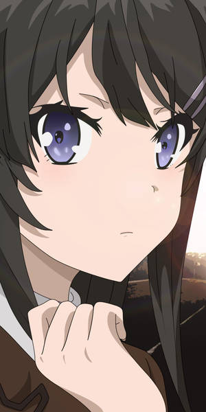 Rascal Does Not Dream Of Bunny Girl Senpai Sakurajima Face Wallpaper