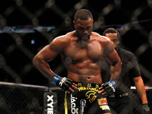 Rashad Evans Staring Down Wallpaper