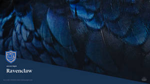Ravenclaw House Pride Blue Feather Wallpaper