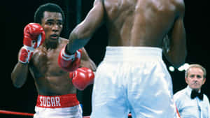 Ray Leonard Fighting With Red Boxing Gloves Wallpaper