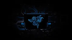 Razer Connection 4k Wallpaper