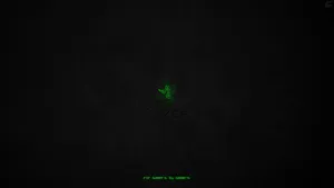 Razer For Gamers By Gamers Wallpaper