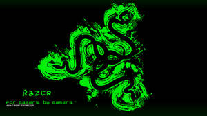 Razer Gaming Logo Hd Wallpaper