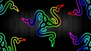Razer In Rainbow 4k Wallpaper