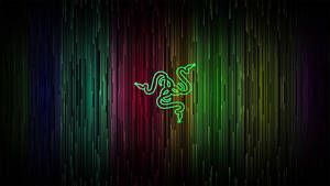 Razer Multicolored Lines Wallpaper