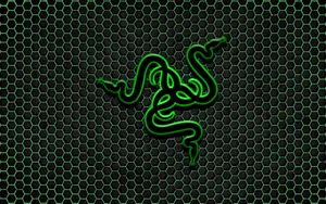 Razer Pc Logo With Hexagonal Background Wallpaper