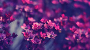 Real Floral Hipster Wallpaper