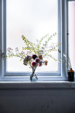 Real Floral In Window Wallpaper
