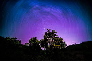 Really Cool Purplish Aurora Wallpaper