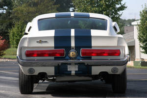Rear Of Shelby Iphone Wallpaper