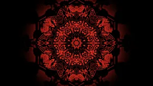 Red 4k Uhd Flower Abstract Wallpaper