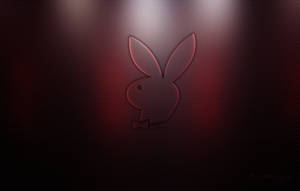 Red And Black Playboy Logo Wallpaper