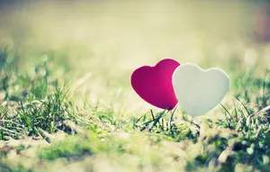 Red And White Full Screen Hd Desktop Wallpaper