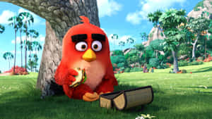 Red Angry Bird Eating Sandwich Wallpaper